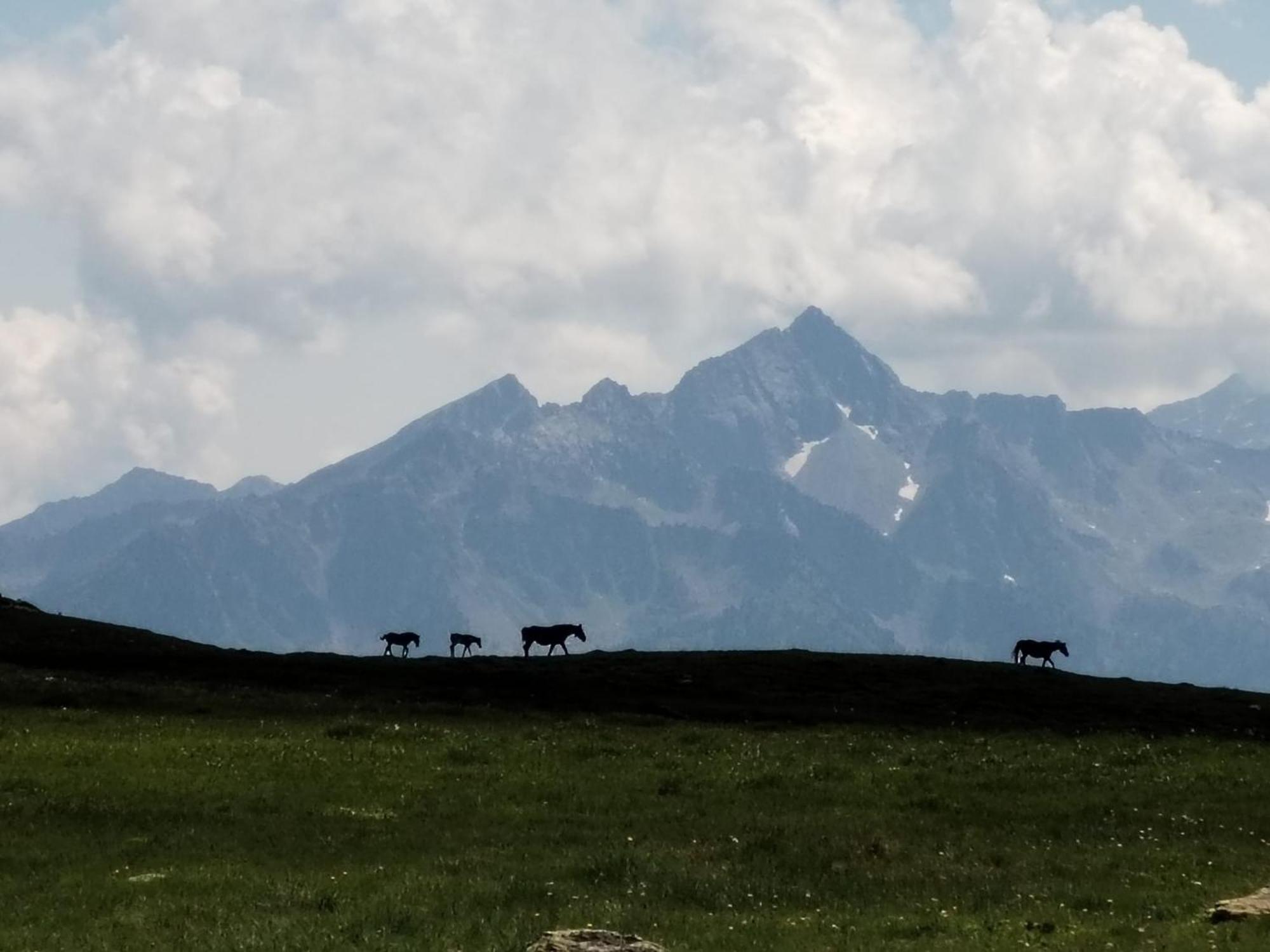 Hotel Cielo Blu Passo del Tonale Eksteriør billede